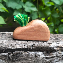 Load image into Gallery viewer, Grassy Stones