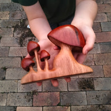 Load image into Gallery viewer, Standing mushrooms